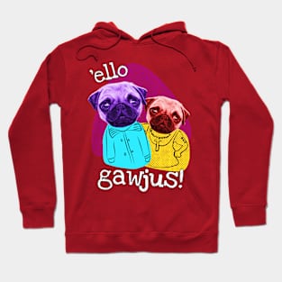 Funny Pug Brothers Hello Gorgeous Hoodie